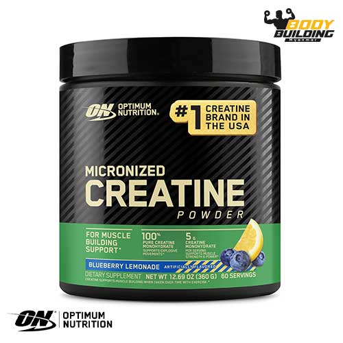 ON - FLAVOURED MICRONIZED CREATINE ( 60 SERVING )